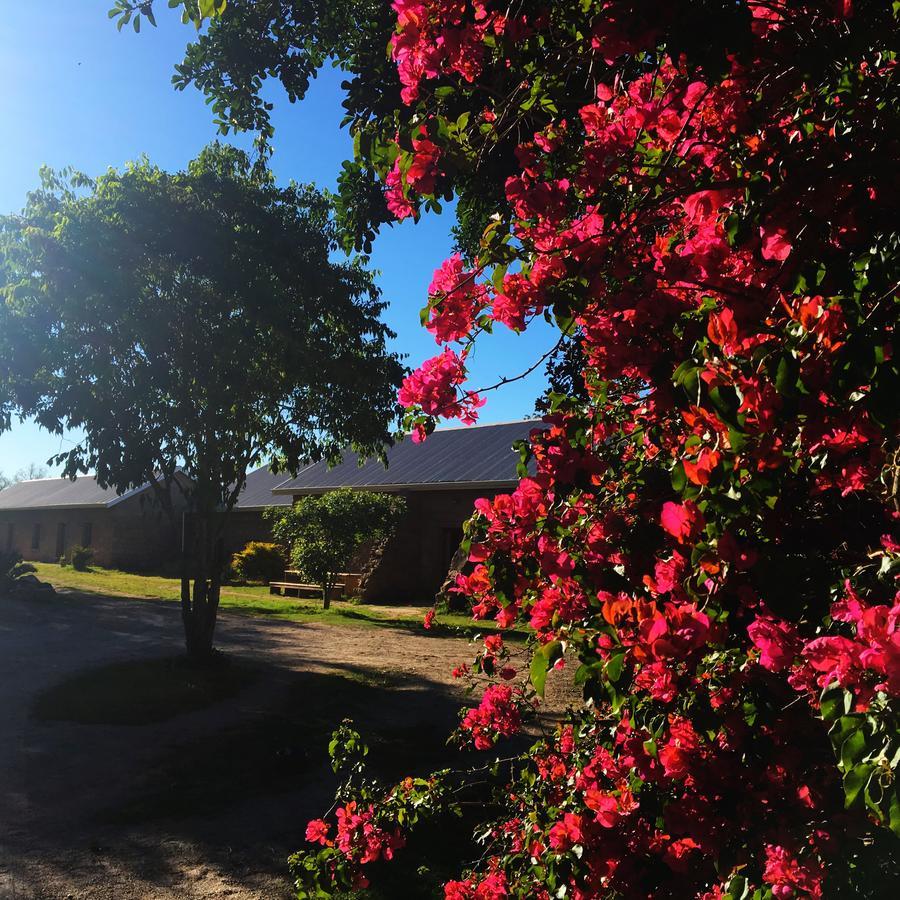 Seven Fountains Farm Hotel Grahamstown Exterior photo